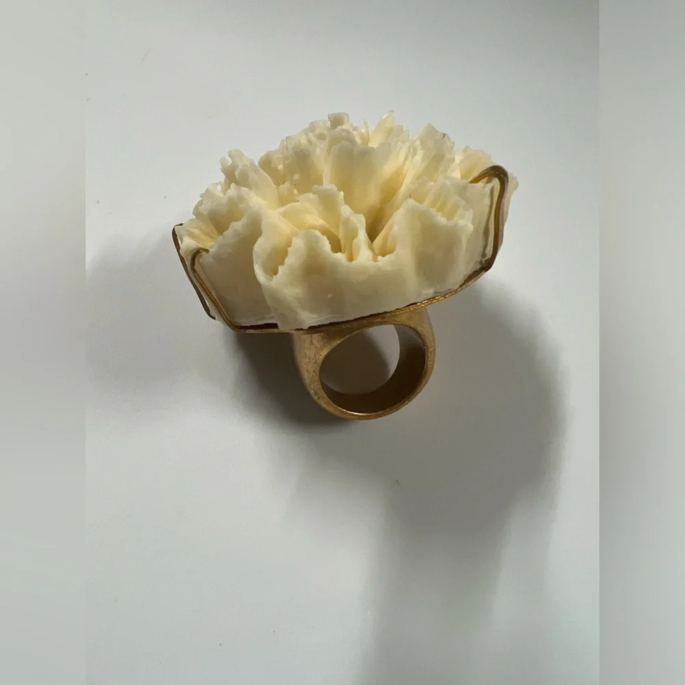 Zara resin ring